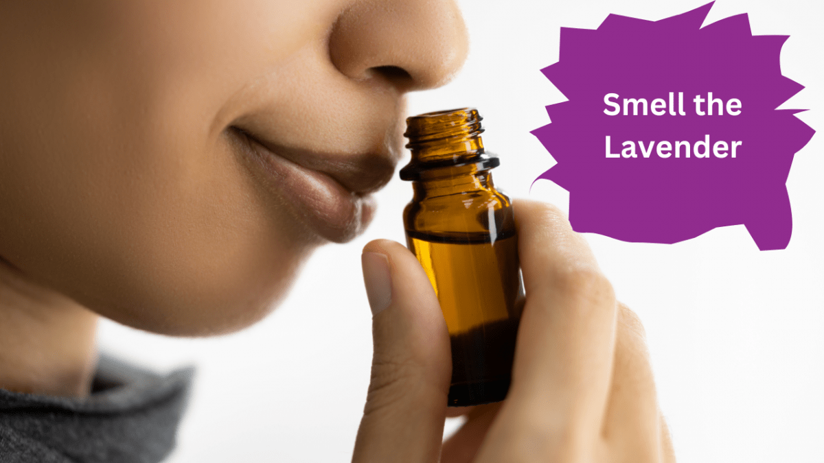smell levender to stop migraine ashcroft pharmacy uk